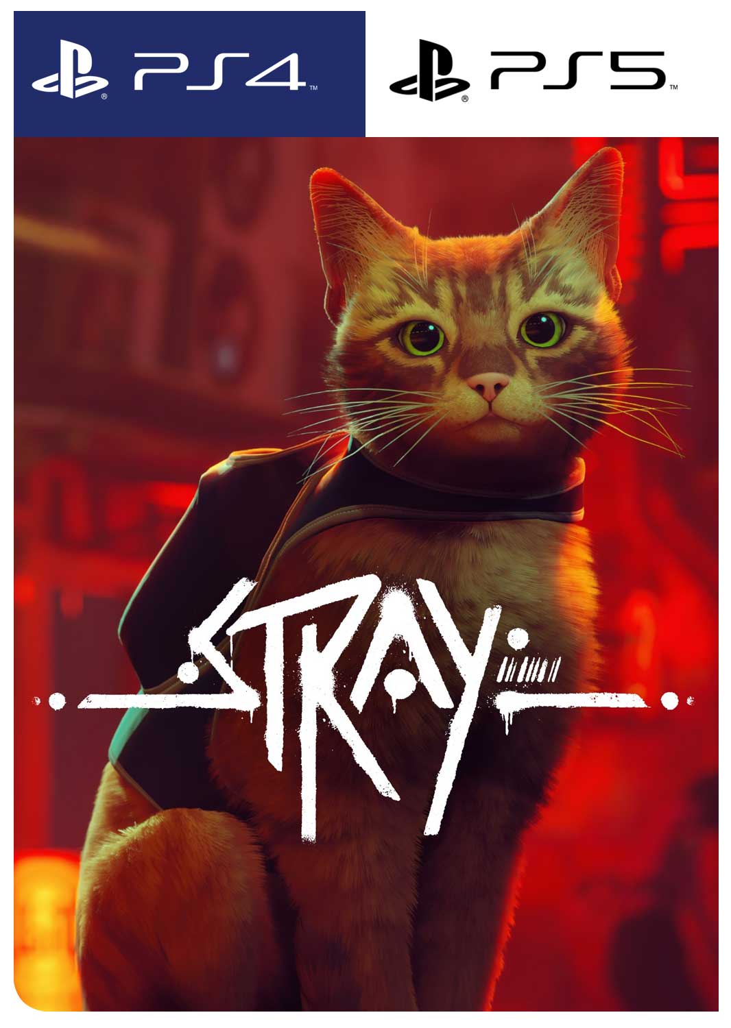 imagen-Stray-fenixxdigital