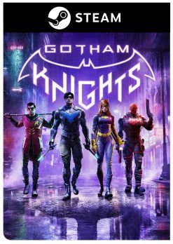 Gotham Knights