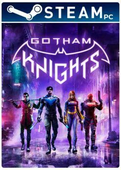 Gotham Knights