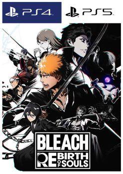 BLEACH Rebirth of Souls