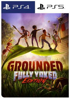 Grounded