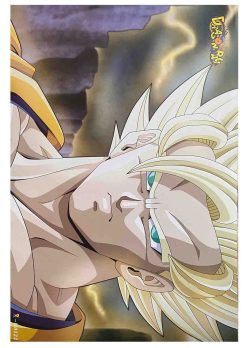 Poster Dragon Ball 30x40CM