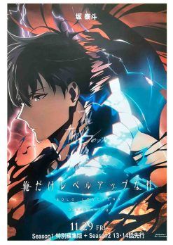 Poster Solo Leveling 30x40CM