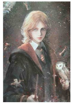Poster Harry Potter 30x40CM